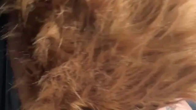 Fayedawnx Squirl Girl Bg Pov Fucking Hard Ppv Onlyfans Leak Porn Video