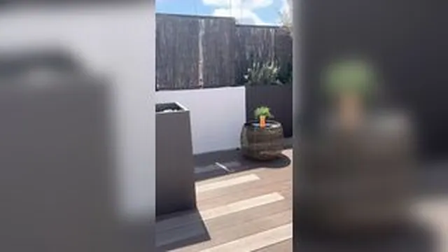 Yasmina Khan AKA Pengaliprincess Fucks On The Terrace While Neighbor Watches screenshot