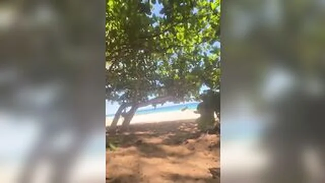 Mia Malkova Outdoor Seaside Summer Cock Ride Leaked Onlyfans Video screenshot